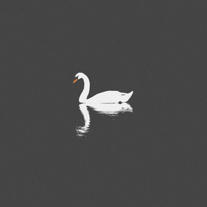 美国老奶奶logo大全最新款
